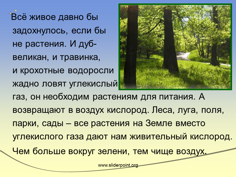 Сообщение про воздух 2 класс окружающий мир. Доклад про воздух. Про воздух 2 класс окружающий мир. Презентация на тему воздух.