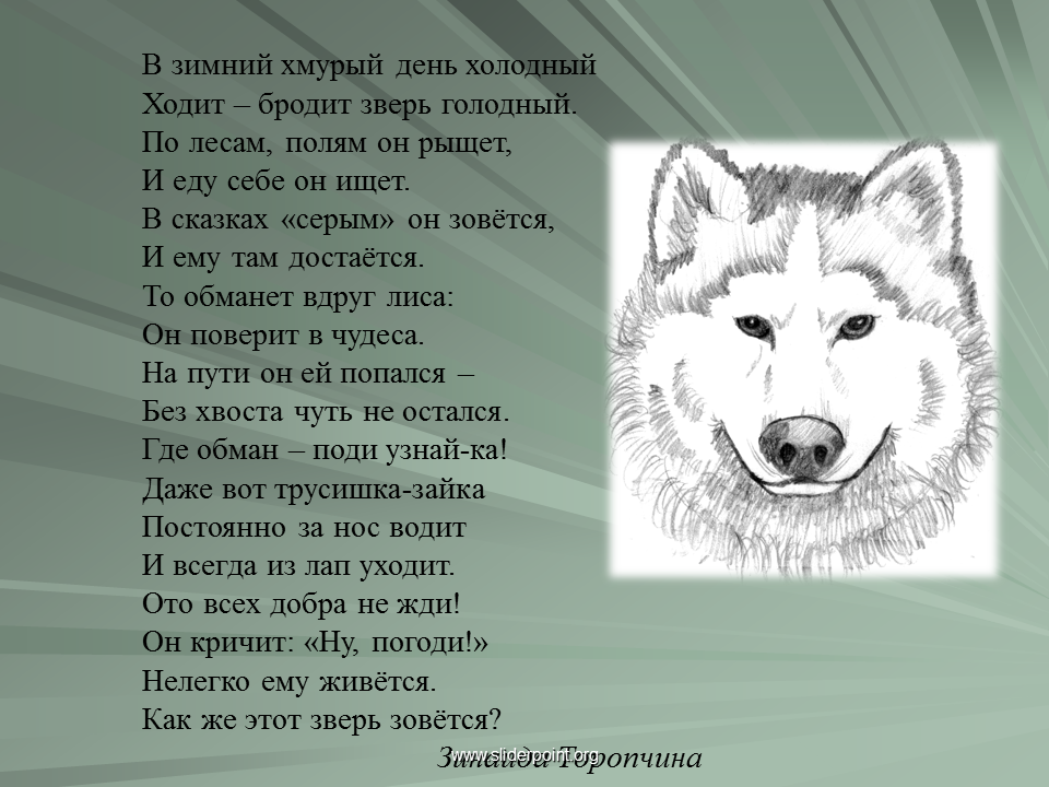 Рассказ про волка. Сведения о волке. Проект про волка. Проект на тему волк.