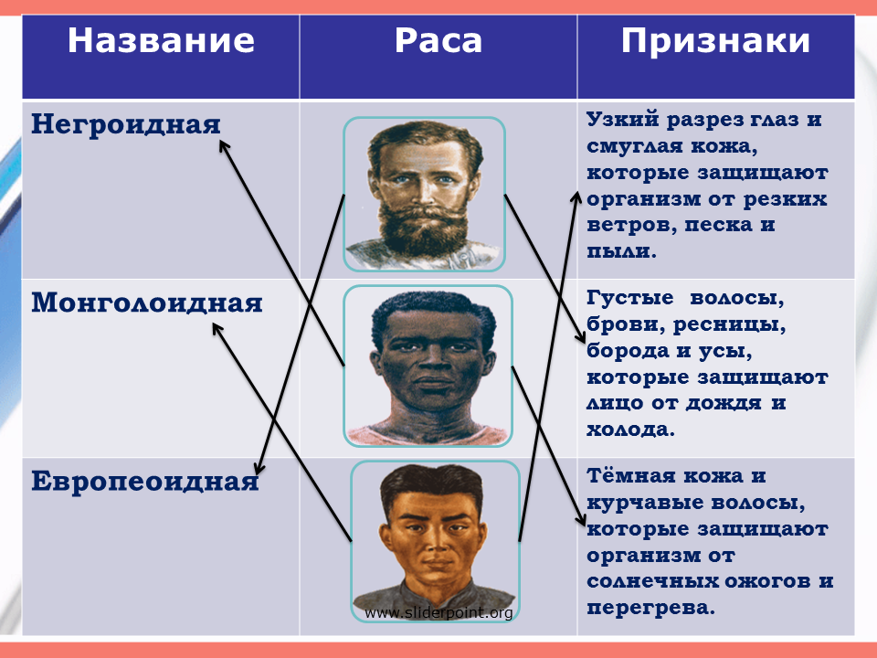 Признаки различия людей. Таблица европеоидная монголоидная негроидная. 4 Расы людей европеоидная монголоидная негроидная и. Человеческие расы. Разрез глазу негроидной расы.