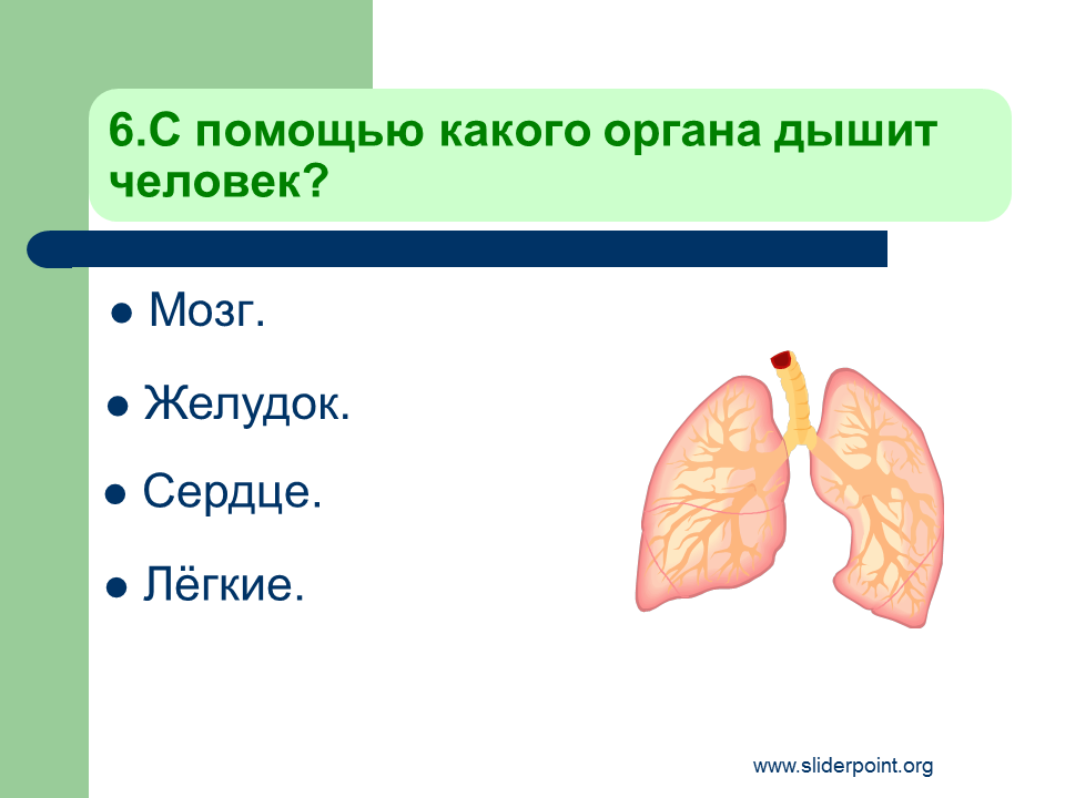 С помощью какого органа дышит человек. Органы человека 3 класс окружающий мир. Организм человека презентация. Органы человека тест.