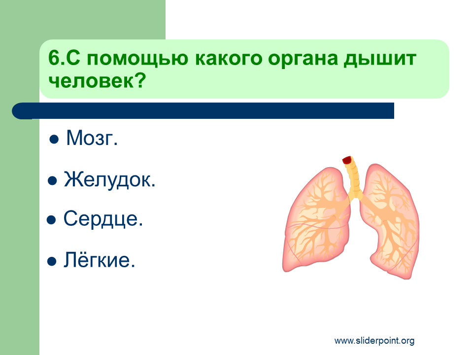 Что такое организм тест