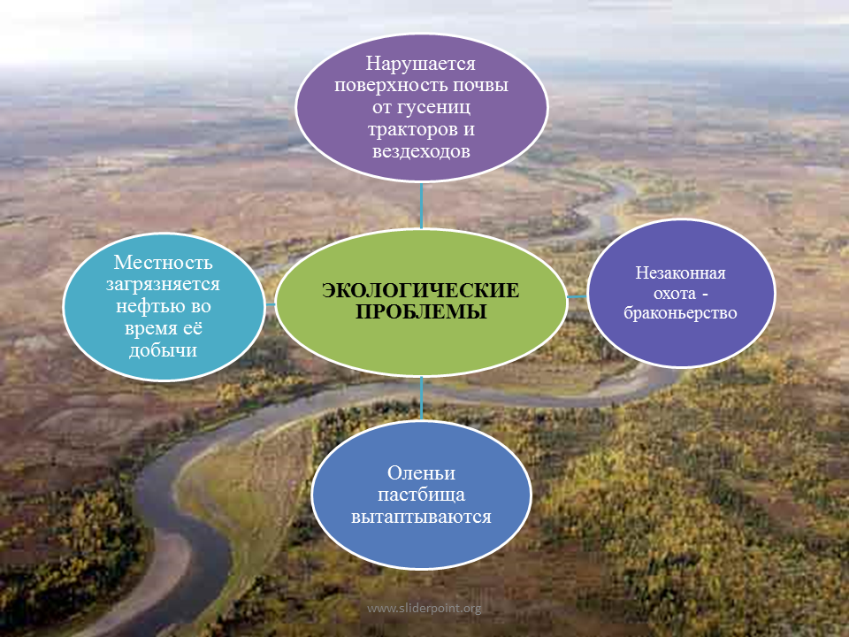 Почему нарушенный природный комплекс долго восстанавливается. Экологические проблемы тундры 4 класс. Экологические проблемы и охрана природы тундры. Экологическая ситуация в тундре. Экологические проблемы в зоне тундры.