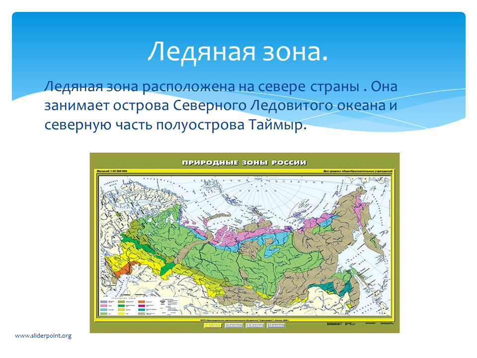 Природная зона россии самая маленькая по занимаемой