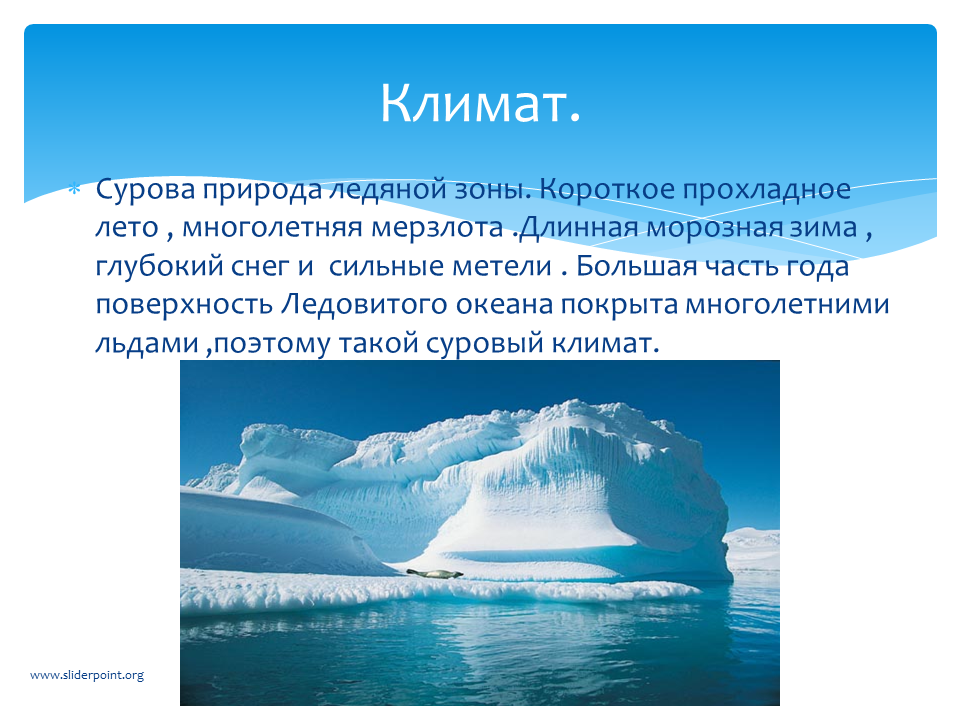 Какие особенности арктической пустыни. Ледяная зона. Климат ледяной зоны. Ледяная зона презентация. Ледяная зона 4 класс.