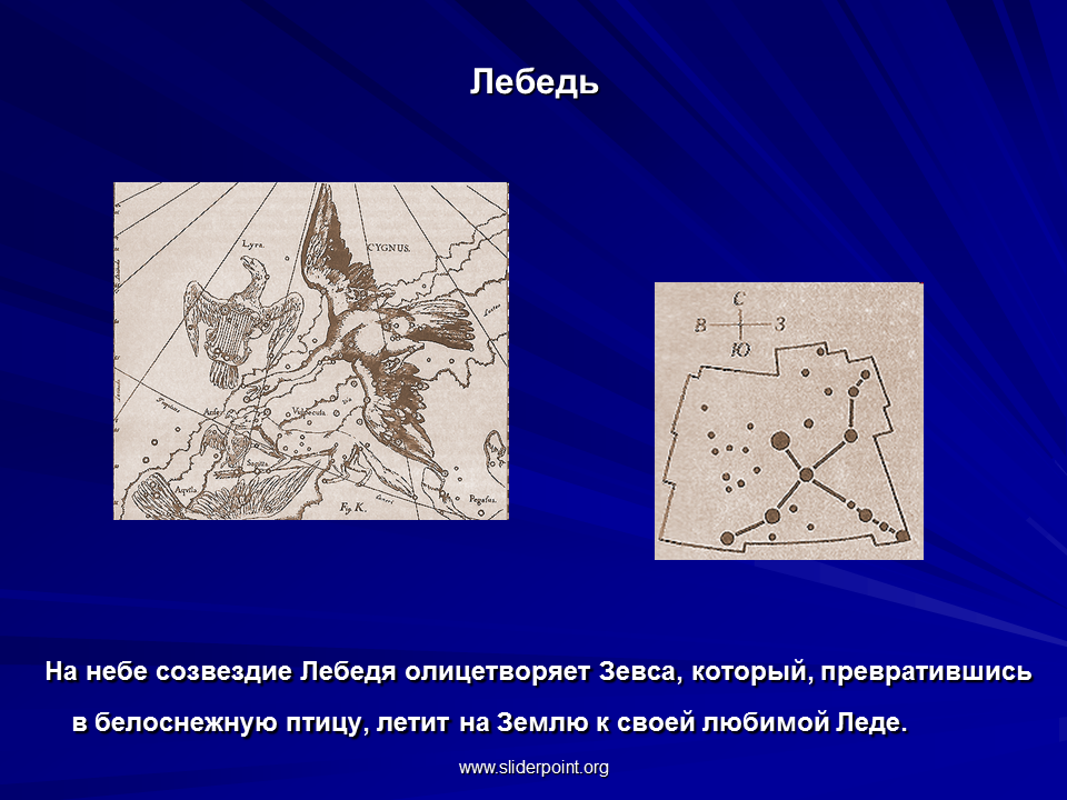 Созвездие объяснение. Созвездия. Созвездие лебедь. Созвездие лебедь Легенда. Созвездие лебедь миф.