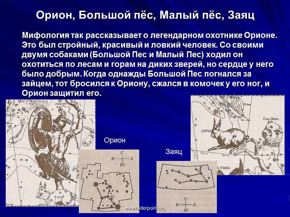 Созвездие орион легенда. Большой и малый пес созвездия. Созвездие большого пса. Созвездие большого пса Легенда. Созвездие Орион и большой пес.