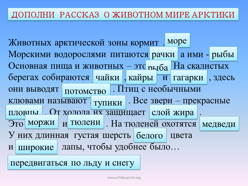 Текст мир холоден. Животный мир холодных районов. Рассказ о животном мире холодных районов. Рассказ о животном мире холодных районов для 1 класса.