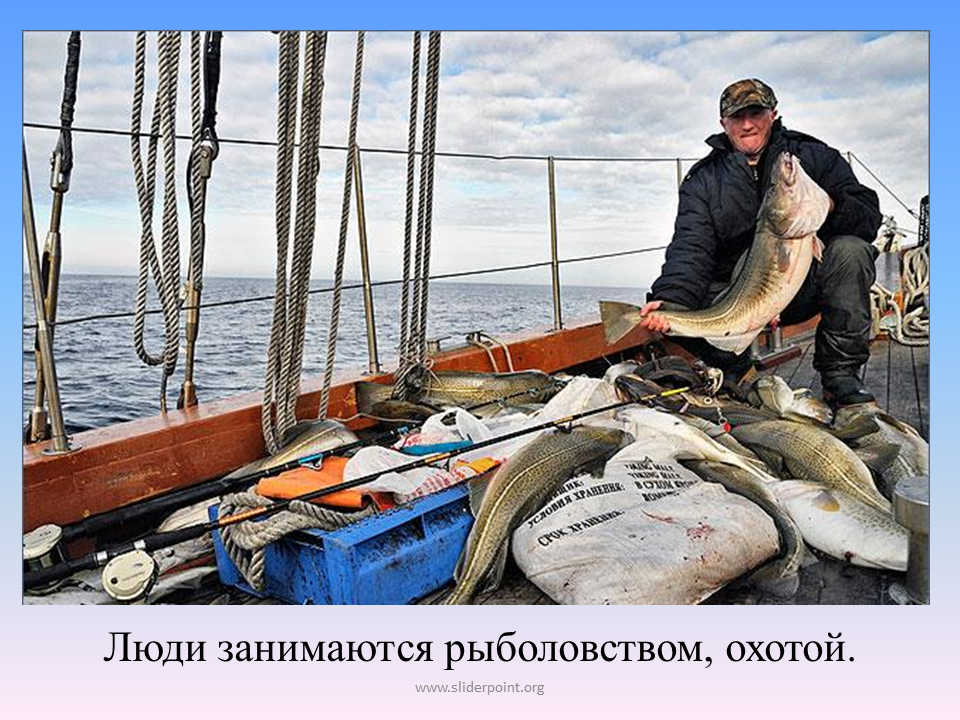 Рыболовством занимаются народы