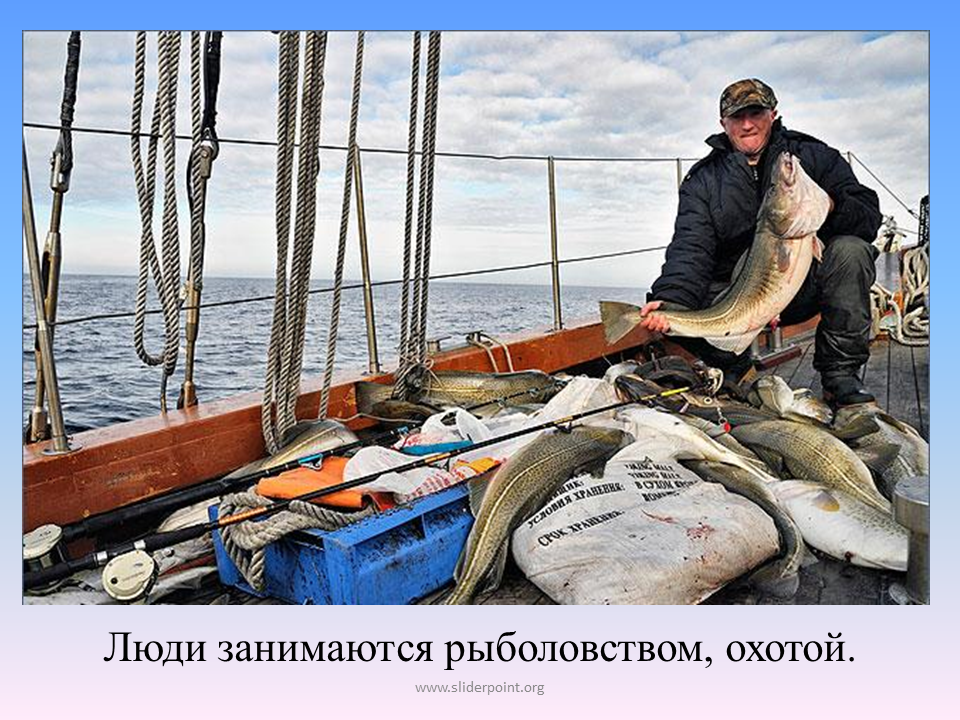 Виды хозяйственной деятельности в арктических пустынях. Хозяйственная деятельность Арктики. Хозяйственная деятельность человека в Арктике. Люди занимаются рыболовством. Рыболовство в Арктике.