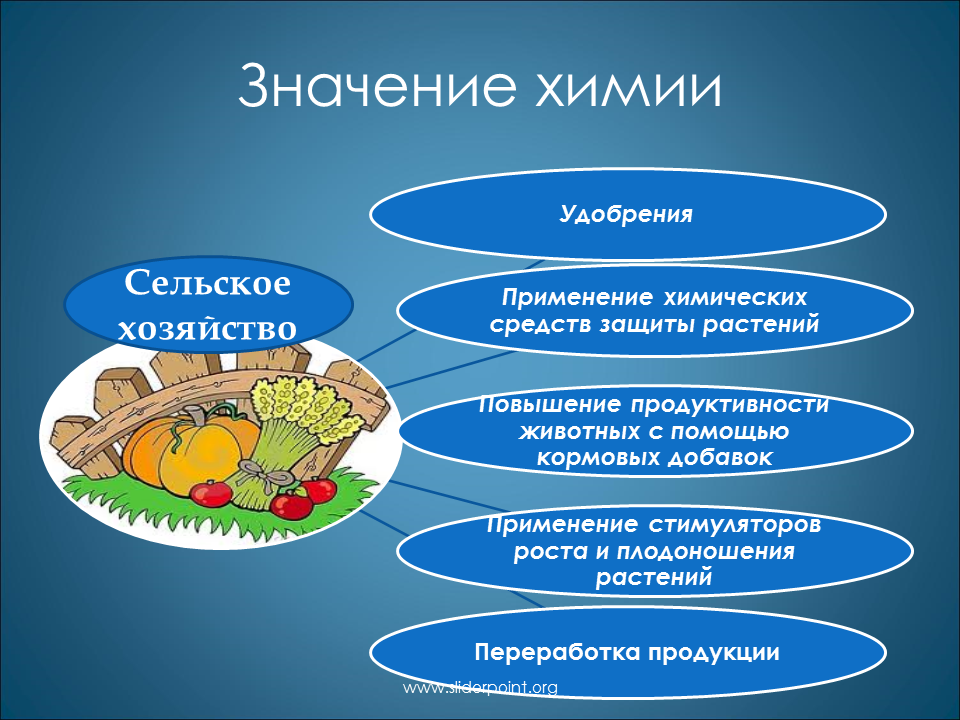 Химическая культура человека. Роль химии в сельском хозяйстве. Химия в сельском хозяйстве схема. Значение химии. Практическая значимость химия.