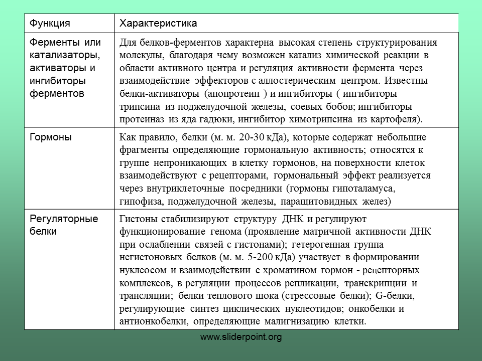 Значение белков ферментов