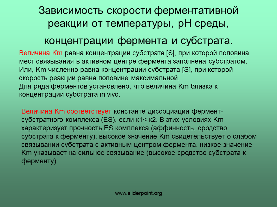 Фермент уреаза. Классификация ферментов катализаторов. Уреаза класс ферментов. Ферменты классифицируются в зависимости от катализаторов. Фермент уреаза катализирует гидролиз:.