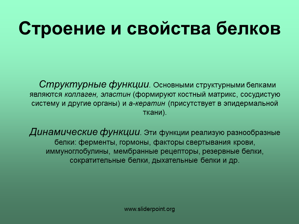 Строение и свойства белков. Свойства белков ферментов. Структура и свойства белков. Белки свойства и функции.