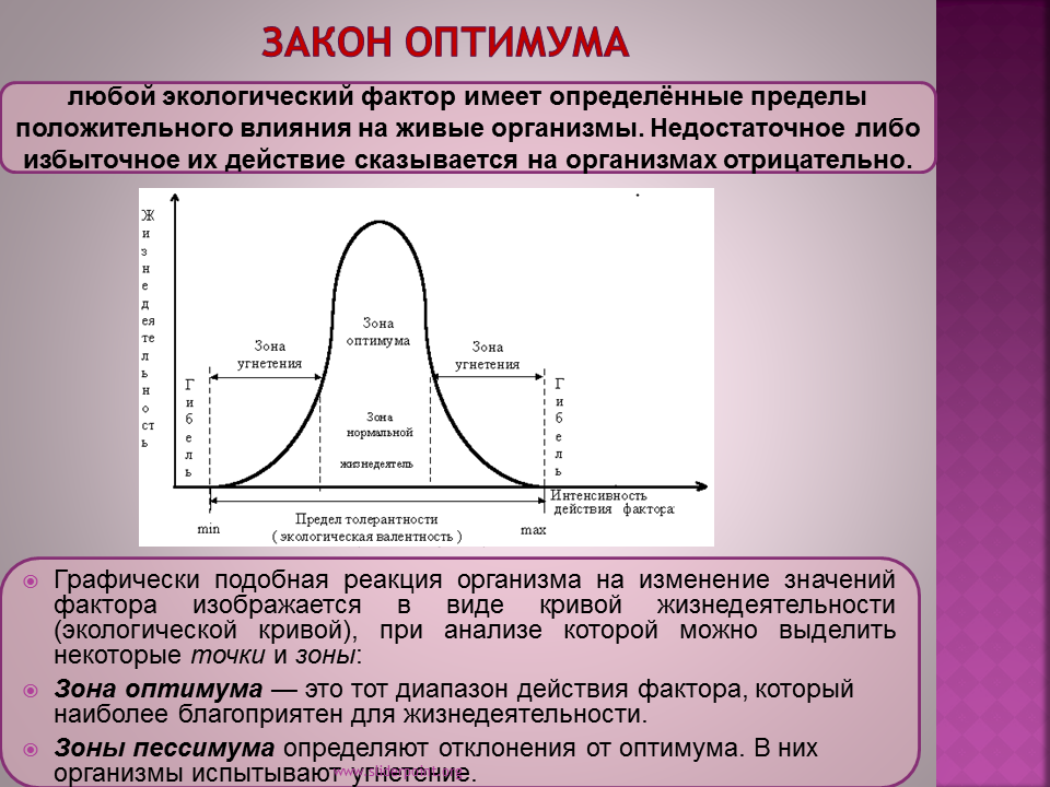 Диапазон выносливости это