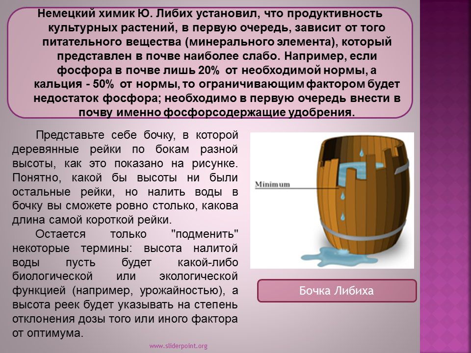 Биология бочка Либиха. Бочка Либиха закономерность. Бочка Либиха и лимитирующие факторы. Ограничивающий фактор бочка Либиха. Бочка урожайности