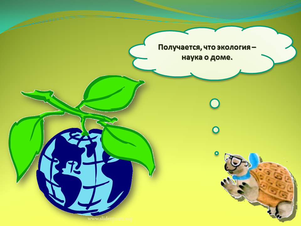 Что такое экология 1 класс окружающий мир презентация