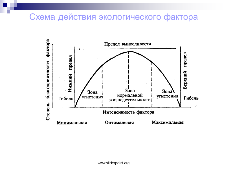 Экологичность всего жизненного цикла