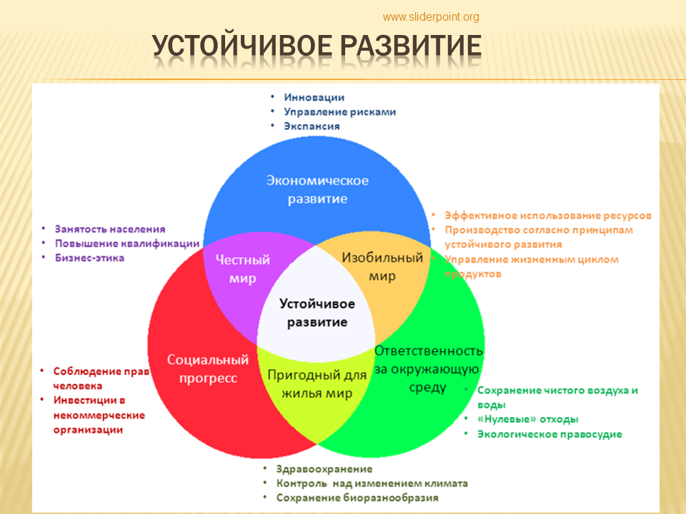 Принцип человеческой жизни