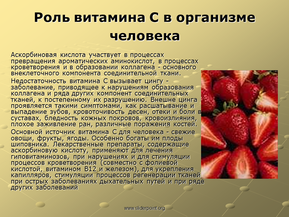 Роль витаминов. Роль витаминов в организме. Роль аскорбиновой кислоты в организме человека. Роль витамина c в организме человека.