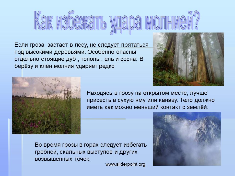 Гроза в лесу ОБЖ. Молния в лесу опасности. Что делать если гроза в лесу. Как избежать удара молнии. Гроза где безопасно