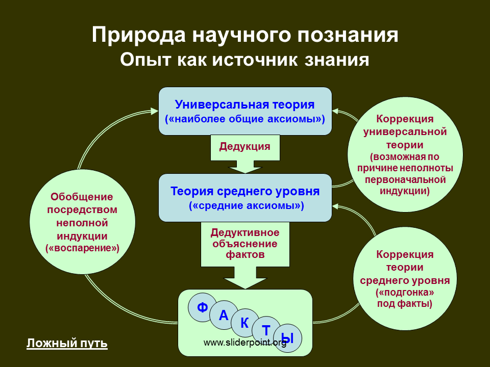 Природа научного познания. Бэкон индукция. Источники познания. Бэкон индуктивный метод.