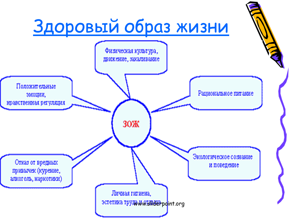 Диаграмма зож и вредные привычки