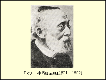Рудольф Вирхов (1821—1902)