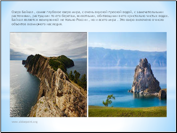 Озеро Байкал , самое глубокое озеро мира, с очень вкусной пресной водой, с замечательными растениями, растущими по его берегам, животными, обитающими в его кристально чистых водах.