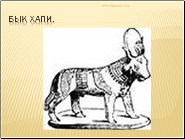 Бык хапи. Бык хапи.