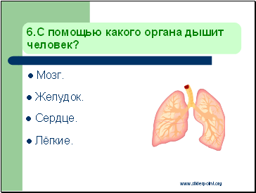 С помощью какого органа дышит человек?